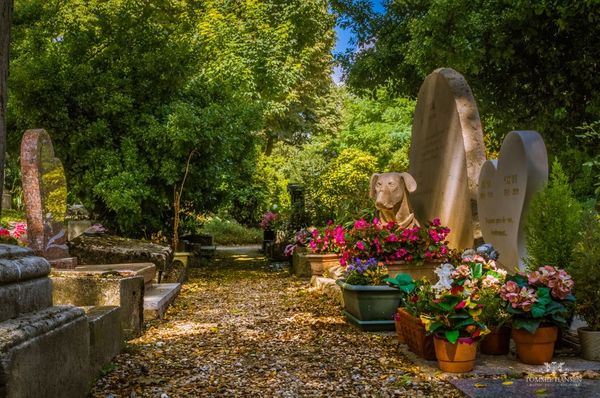 An alley of the cemetery