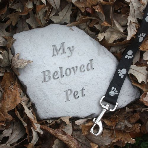 Coping with the Loss of a Pet